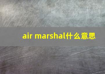 air marshal什么意思